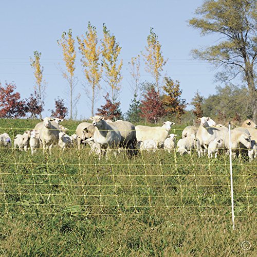 Premier 1 Portable Electric Sheep & Goat Net Fence with Built-in Posts | Yellow – 35"H x 164'L
