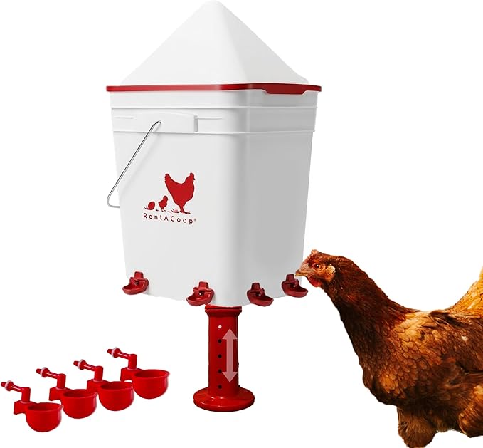RentACoop 5 Gallon Chicken Waterer, BPA-Free Plastic Bucket Waterer Set with 4 Horizontal Nipples, Large Capacity Poultry Waterer - Corner Placement