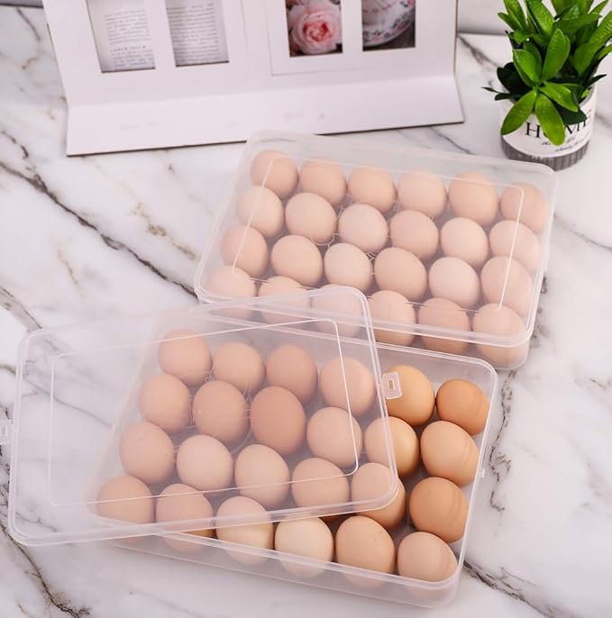 Sooyee 2 Pack Covered Egg Holders for Refrigerator,Clear 2X24 Deviled Egg Tray Storage Box Dispenser,Stackable Plastic Egg Cartons,Egg Holder Countertop(48 Eggs)
