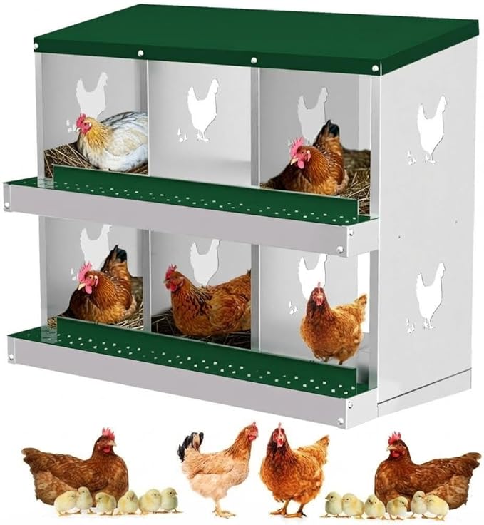 Chicken Nesting Box,6 Holes Galvanized Steel Metal Chicken Laying Box with Automatic Roll-Away Egg Collection System & Removable Tray,Wall Mount Nesting Boxes
