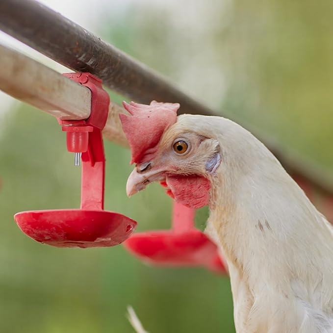 20pcs Automatic Chicken Waterer Nipples with Spring Head Poultry Water Drinker for Farm and Backyard Use Sturdy Chicken Water Feeding System for Quail