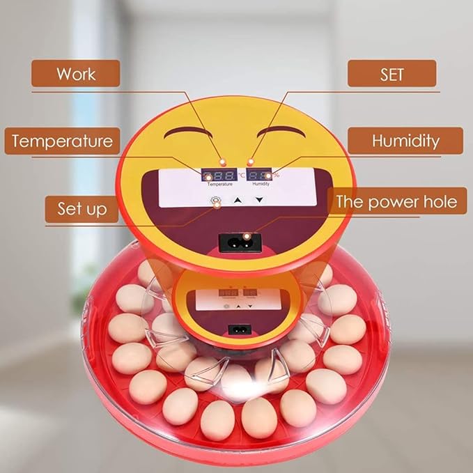 30 Egg Incubator Automatic Turning Digital Poultry Brooder Temperature Control LED Screen for Chickens Ducks Goose Birds
