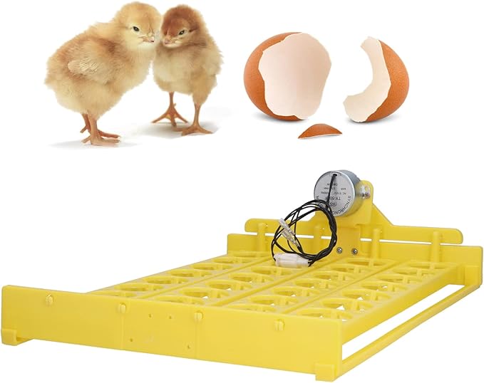 Automatic Egg Turner, 32 Eggs Plastic Tray Turning Hatcher for Chicken Goose, Egg Turner for Incubator(110V)
