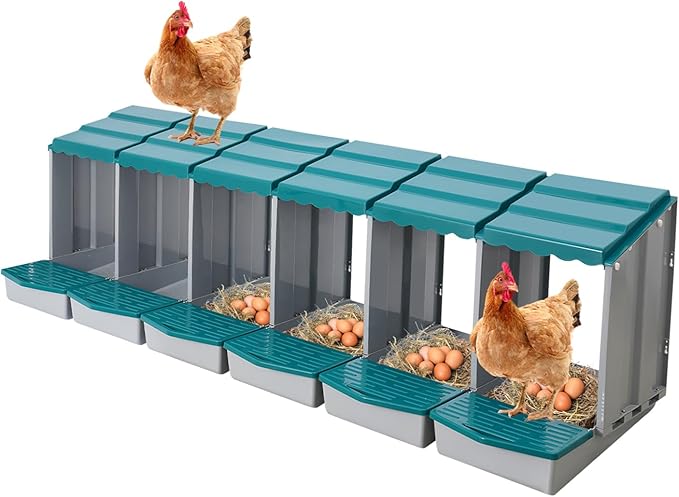 Chicken Nesting Boxes 6 Compartment PP Nesting Box with Inclined Nesting Boxes & Vented Holes Wall Mount Chicken Laying Boxes for Chicken Coop (Green)