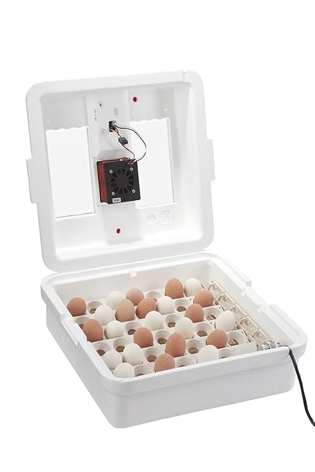 Little Giant® Digital Circulated Air Incubator with Automatic Turner | 41 Egg Capacity | Chick Egg Hatching Incubator with Fan and Egg Turner | Made in USA
