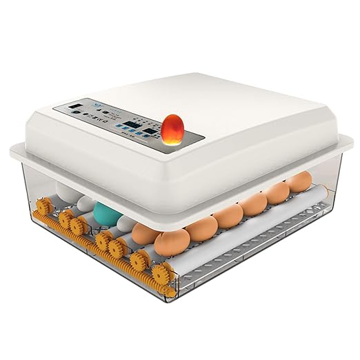 Egg Incubator,Egg Incubator with Automatic Egg Turning and Humidity Control,Poultry Hatcher for Chickens Ducks Birds (56 Eggs)