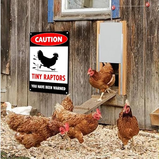 Caution Tiny Raptors Sign Aluminum Chicken Coop Signs for Farm Kitchen Rooster Hen House Decor Beware of Chicken Signs for Chicken Lady Lovers, 12x8inches