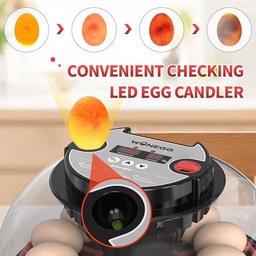 incubators for hatching eggs，12 Egg Incubator,egg incubator with automatic egg turning and humidity control，incubator for chicken eggs，chicken incubators for hatching eggs，egg incubator
