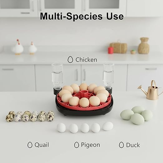 Automatic Egg Incubator for 12 Chicken Eggs with Camera APP Control, Temperature & Humidity Monitor, Auto Egg Turner, Record Life's Birth Moments for Chicken Duck Quail Pigeons