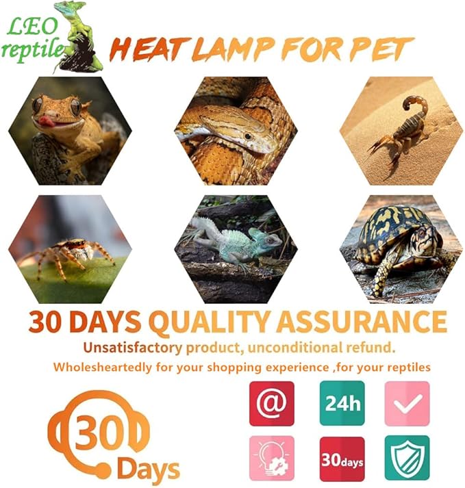 Leoterra 50W Ceramic Heat Emitter Bulb, Low Wattage Reptile Heat Lamp for 10-20 Gallon Small Terrarium, Gentle No-Light Heat Source for Bearded Dragons, Geckos, Frogs, Hermit Crabs (2-Pack)
