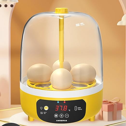 4 Eggs Incubator, Automatic Temperature and Humidity Control Eggs Hatching Incubator, Visual Low Noise Energy Saving USB Mini Poultry Hatcher for Eggs, Pigeon Eggs, Quail Eggs