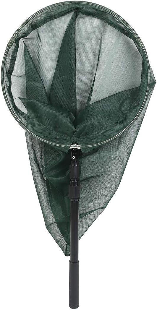 RESTCLOUD Professional Insect and Butterfly Net with 14" Stainless Ring, 26" Net Depth, Strong Aluminum Telescopic Handle Extends to 39", Full Extended to 53 Inches Green