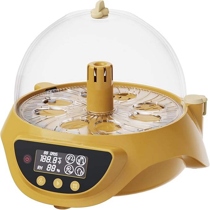 Quail Incubator with Automatic Egg Turning,8 Eggs, Smart Temperature Control, 360°View, Air Vent Circulated, Auto Mini Small Egg Incubator for Hatching Quail Bird Parrot Reptile