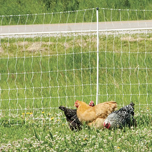 Premier 1 PoultryNet® | Electric Fence for Backyard Chickens, Ducks, Turkeys with Step-in Posts – 48"H x 164'L, White