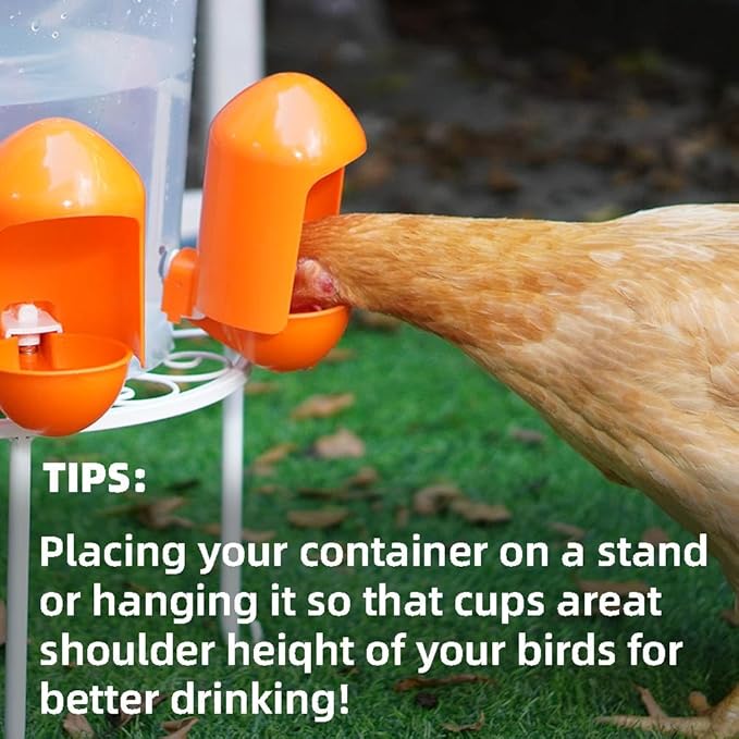 Large Chicken Waterer Cups Automatic with Anti-Roosting Cover | Poultry Waterer Cups Suitable for Chicks, Duck, Goose, Turkey and Bunny (5 Pack)