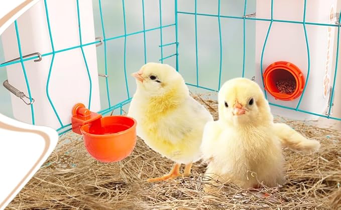Automatic Waterer System Chick Feeder and Drinker Cups 1L Hanging Automatic Fill Poultry Watering Cup Used for Cages (Orange, 2)