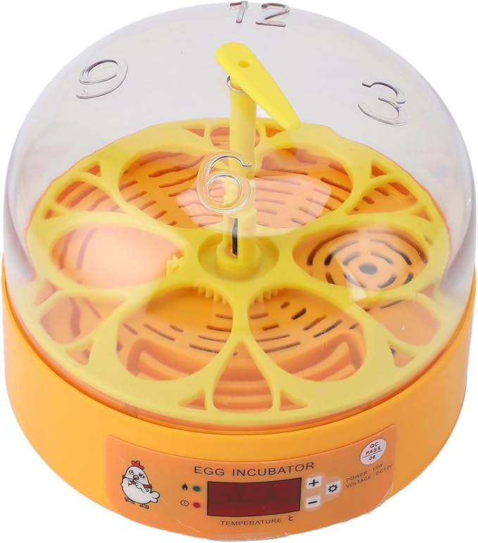 6 Egg Incubator Automatic Temperature Humidity Control Poultry Hatcher Egg Hatching Machine for Chicken Duck Quail Eggs with Visual Window Compact Design (US Plug 110‑220V)