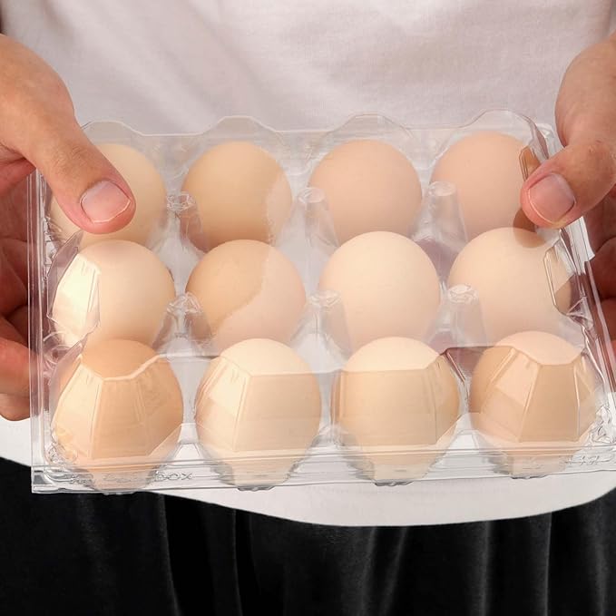 JAPCHET 100 Pack Plastic Egg Cartons, Clear 12 Egg Cartons Dozen Plastic Egg Carton Bulk for Kitchen, Fridge, Market and Farms