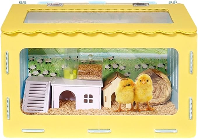 Chick Brooder Kit, 19.69x13.78 Inch Portable Observation Box, Breathable Quail Habitat with Clear Window for Indoor Raising, Hatching, Farm, Hobby