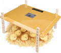 Smart Chicken Brooder Heater, 16"x11" Chick Heat Plate for 20 Baby Chicks, 13 Temperature & 7 Timer Settings, 200W Chicken Coop Heater, UL Certified