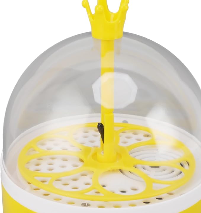 Mini Egg Incubator, Automatic Temperature Humidity Eggs Hatcher for Chickens Ducks Pigeons, Suitable for Home, School (Manual Turning)