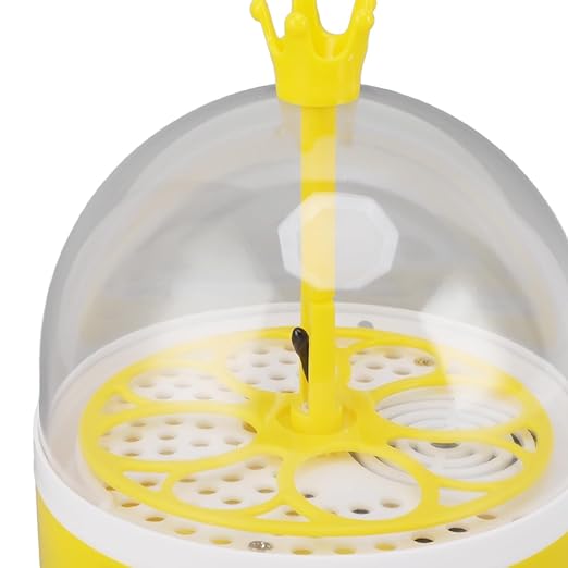Egg Incubator, Automatic Temperature Humidity Control with Transparent Lid for Chicken Duck Quail Eggs (Auto Turning)