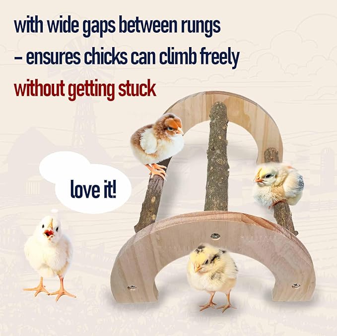 Chick Perch - Natural Wood Chick Roosting Bar for Brooder, Baby Chicken Supplies （1 Pack）