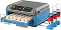 Egg Incubator with Automatic Turning and Humidity Control - Digital Display for Hatching Chicken, Duck, and Quail Eggs - Adjustable Capacity for