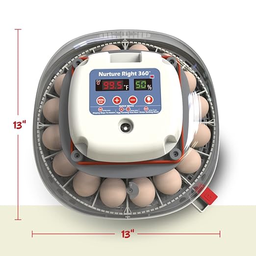 Harris Farms Nurture Right Egg Incubator for Hatching Chicks, Holds 12-22 Eggs, Automatic Turner with Temperature and Humidity Control, 360 Degree View with Clear Window, Incubator for Chickens