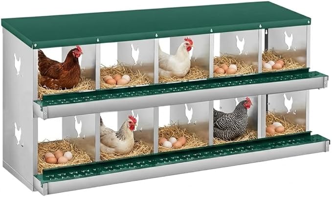 10 Compartment Nesting Boxes for Chickens, Chicken Nesting Box to Protect Eggs, Chicken Laying Boxes, Easy to Clean and Install