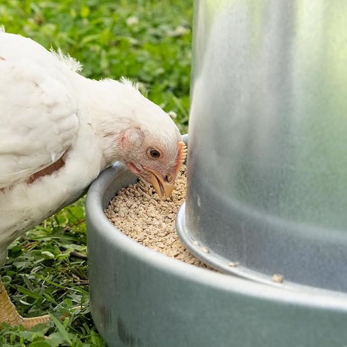 Premier 1 Galvanized Cone Feeder for Chickens & Poultry - 11 lb Capacity