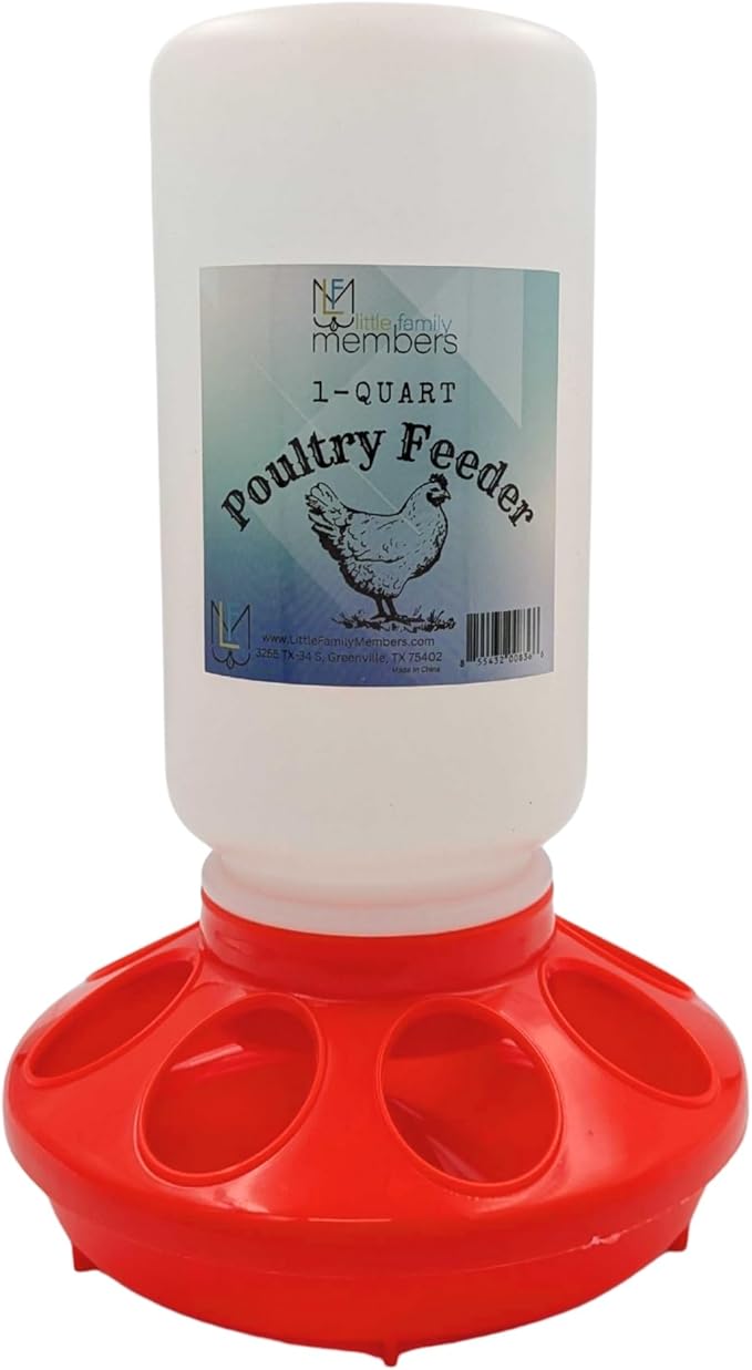 Chick Feeder 1-Quart Capacity for All Small Poultry | Durable Feeding Container for Baby Chicks, Chickens, Ducklings, Baby Turkeys, Quail and More