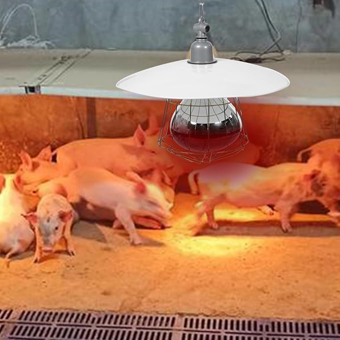 250W Chicken Coop Heater Heat Lamp for Chickens Livestock Brooder Lamp with Metal Guard Waterproof Heating Light for Dog House Winter Chick Poultry