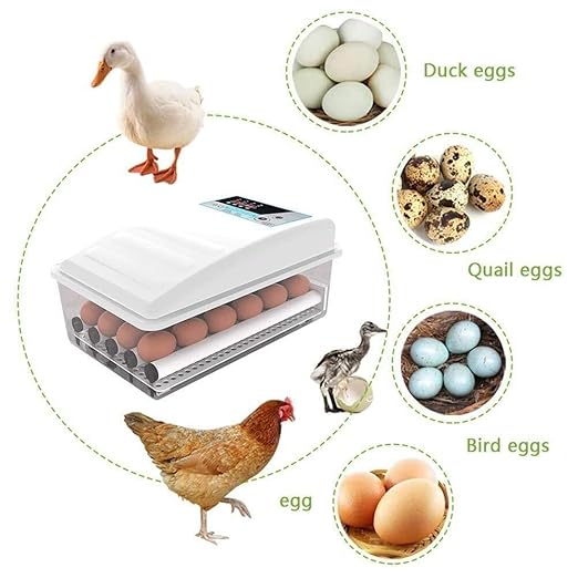 Egg Incubator with Automatic Turning, 36 Eggs Capacity, Digital Temperature Control, Dual Power, for Chicken, Duck, Goose, Birds