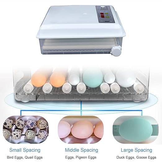 Eggs Incubator, 64 Eggs LCD Digital Automatic Incubator with Egg Turning and High-Temp Alarm, Double Power Supply Household Mini Incubator Box for Chickens Ducks Goose Birds
