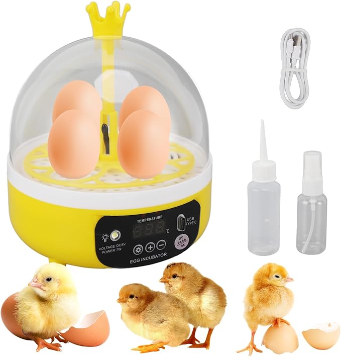 Tissting 4 Eggs Mini Incubator with Transparent Lid,7W Automatic Temperature Humidity Control,Household Small Poultry Hatching Machine,for Chickens Ducks Pigeons (Manual Turning)
