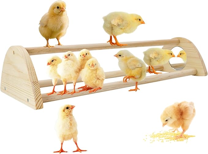 Chicken Perch with Mirror Roosting Bar for Baby Chicks Chick Jungle Gym Roosting Bar Strong Wooden Baby Chick Perches