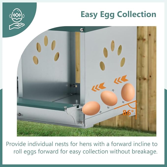 Green Chicken Nesting Box for Laying Eggs – Roll Away Poultry Nest, Durable & Easy-Clean Hen Egg Box for Coops, Secure & Comfortable (3-Hole,Green)