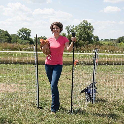 Premier 1 PoultryNet® 48"H x 8'L Electric Net Gate with Drivable Posts for Chickens, Ducks, Geese | Black/White Net with Black Posts