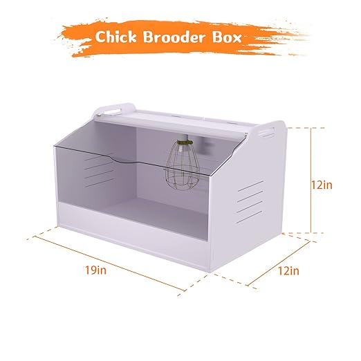 Chick Brooder Box with Heat Lamp - Suitable for Chicks, Ducks, Parrots & Lizards (19" X 12" X 12")
