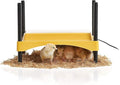 Brinsea Ecoglow Safety 600 Chick or Duckling Brooder, Adjustable Height & Angle Brooder Plate, Ideal for Chicken Coops Poultry Heating with Safety Indicator, 12 Watts