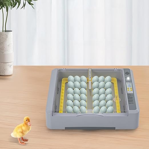 Egg Incubator Digital Poultry Hatcher Machine 36 Eggs Digital Incubator LED General Purpose Incubator for Hatching Chicken Duck Quail Eggs - Gray