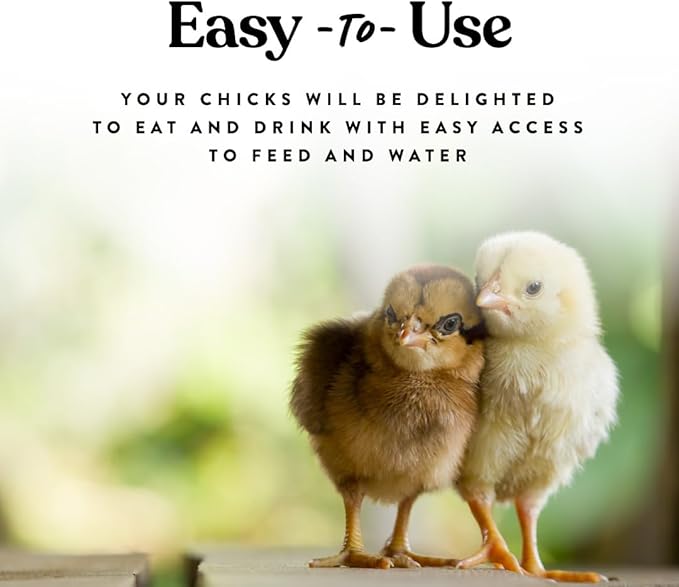 Harris Farms Chick Drinker and Feeder Bundle Kit – Contains 1 Screw on Chick Feeder Base and 1 Screw on Chick Drinker Base – 2 QT Plastic Jars – Made from BPA Plastic – Easy to Clean