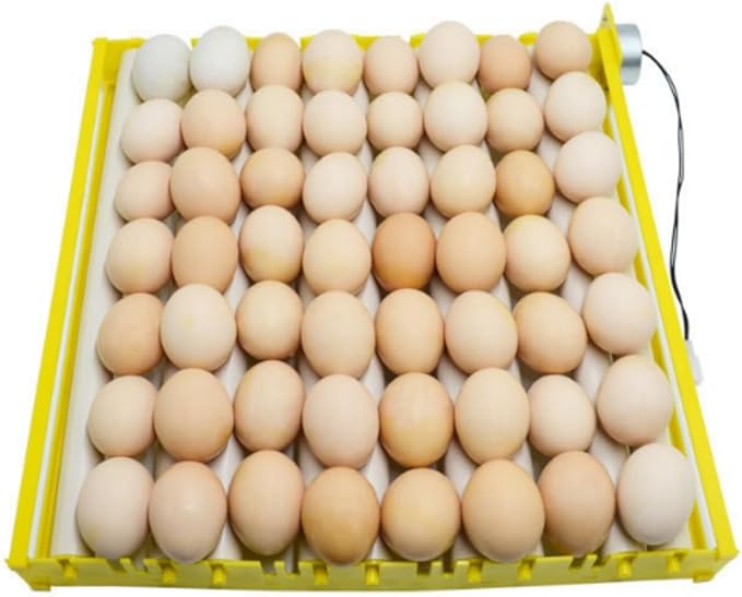 Fully Automatic Egg Incubation Tray,Household Egges Incubator Plate Automatic Chicken Eggss Turning Tray Mini Incubator Hatcher Auto Eggs Turner with Motor for Chicken Duck Quail Egg(12V)