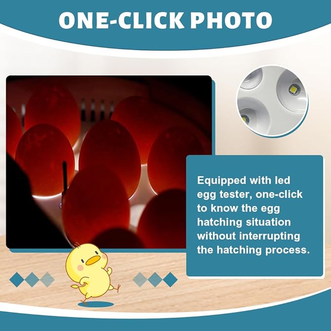 9 Egg Incubators for Hatching Eggs, Chicken Incubator Automatic Egg Turner with Temperature Control, Egg Candler, Auto Water Adding for Duck Goose Quail Parrot Turkey (Blue)