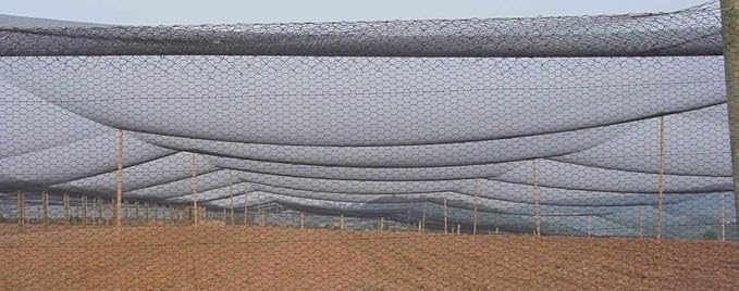 Poultry Netting 1" or 2" Mesh Heavy Knotted Nets Aviary Gamefowl Quail Chicken Bird Block Net Long Lasting Break/Burst 85/245 lb Polyethylene 8-10 Year Lifespan (50' X 50', 1)