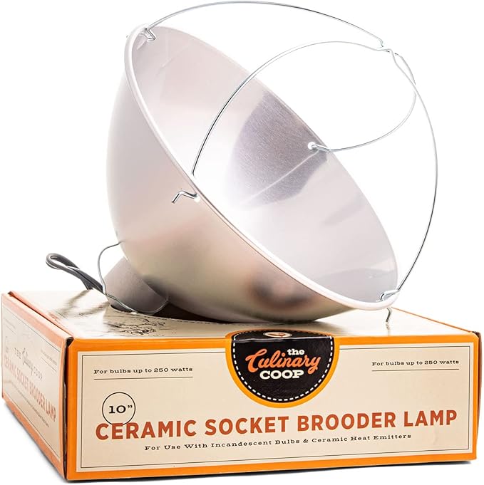 Fluker's Culinary Coop Brooder Lamp for Chicken Coop or Outdoor Animals, 10-Inch