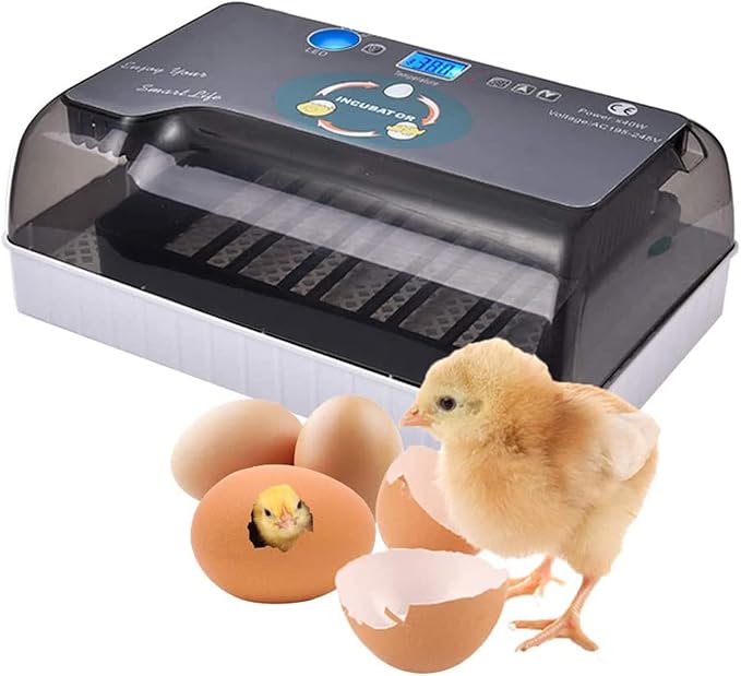 Automatic Egg Incubator, 12Eggs Electronic Poultry Hatcher with Digital LED Display Temperature Control Auto Egg Turning Turner (12 Eggs)