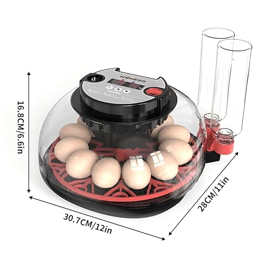 incubators for hatching eggs，12 Egg Incubator,egg incubator with automatic egg turning and humidity control，incubator for chicken eggs，chicken incubators for hatching eggs，egg incubator
