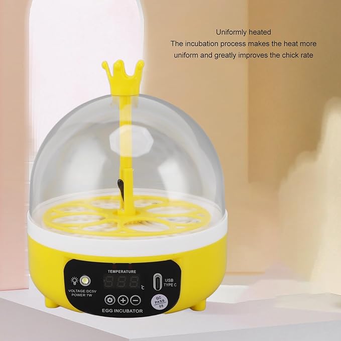 Mini Egg Incubator Automatic Temperature Humidity Control Egg Hatcher Machine with Transparent Lid for Chickens Ducks Pigeons Quail Eggs (Auto Turning)